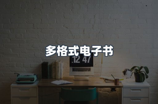 多格式电子书